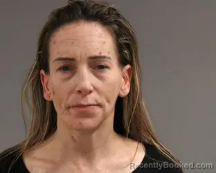 Mugshot of JESSICA LYNN ANDERSON