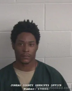 Mugshot of LEE A ALLEN