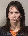 Mugshot of Michelle Elizabeth Bridges booked in Kenosha County, Wisconsin on July 22, 2026