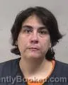 Mugshot of Heidi Ann Arndt booked in Kenosha County, Wisconsin on August 24, 2026