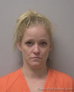 Mugshot of ALICIA ANN CYBULA