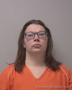 Mugshot of AMANDA LEE ELY
