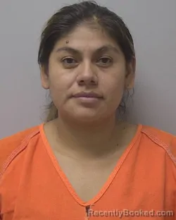 Mugshot of Ascencion Filguera-Ocampo booked in Marathon County, Wisconsin on September 6, 2026