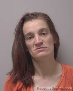 Mugshot of ARIEL ANN HANSON