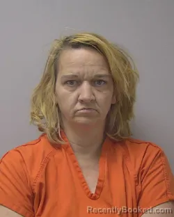 Mugshot of AMANDA LEE HIGGINS booked in Marathon County, Wisconsin on June 1, 2026