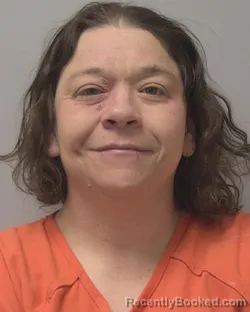 Mugshot of BOBBIE LEE STEPPERT