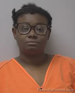 Mugshot of Brianna A Williams Clay booked in Marathon County, Wisconsin on October 9, 2026