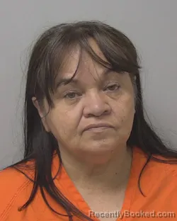 Mugshot of Dioselina Elsira Ayotte booked in Marathon County, Wisconsin on August 4, 2026