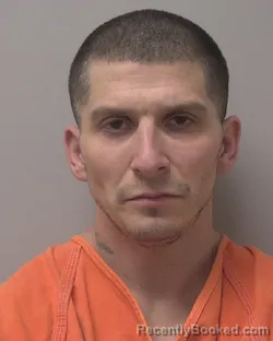 Mugshot of DAVID LEE FLORES