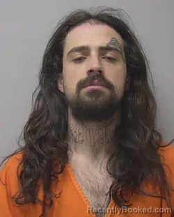 Mugshot of DYLAN LEE MCFANN