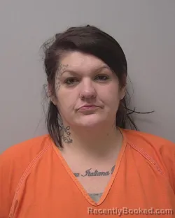 Mugshot of DANIELLE SUE NOVASCONE