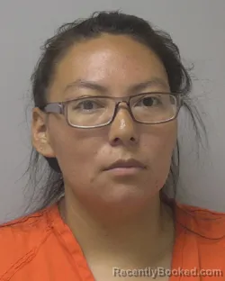 Mugshot of DIVANA LASHAUN LYNELLE YELLOWCLOUD booked in Marathon County, Wisconsin on May 26, 2026