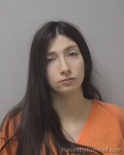 Mugshot of ELIZABETH ANN OSSIG