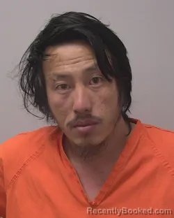 Mugshot of FONG VANG