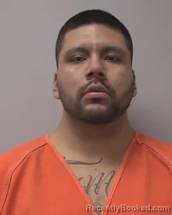 Mugshot of JOSEPH ALLEN DAVIDSON-YOUNG