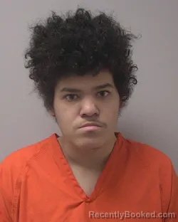 Mugshot of JOSARIEO J NIEDERHAUSER