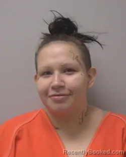 Mugshot of JOLENE ELIZABETH SPAUDE