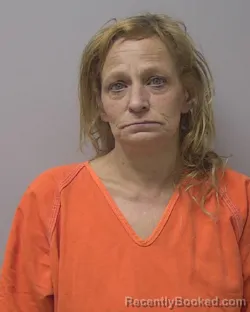 Mugshot of LINDA KIM MC PHEE booked in Marathon County, Wisconsin on April 17, 2026