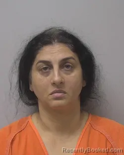 Mugshot of Loredana Ramona Mitea booked in Marathon County, Wisconsin on August 13, 2026