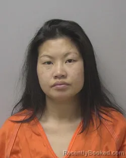 Mugshot of LISA VANG booked in Marathon County, Wisconsin on April 24, 2026