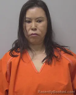 Mugshot of Lihua Wang booked in Marathon County, Wisconsin on October 13, 2026