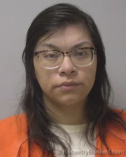 Mugshot of MARISA MARIE ARNE