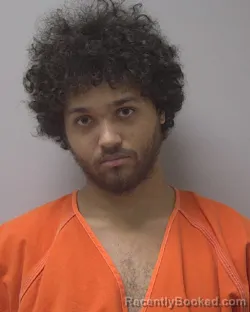 Mugshot of MARIO TEHRON CAMACHO