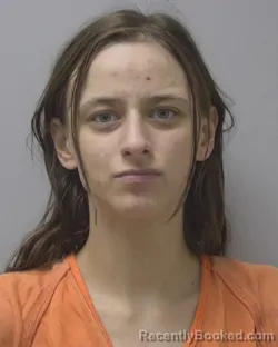 Mugshot of MEGAN ELIZABETH LASAK booked in Marathon County, Wisconsin on June 17, 2026