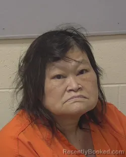 Mugshot of NOUANESY TIFFANY PHANDANOUVONG booked in Marathon County, Wisconsin on June 15, 2026