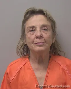 Mugshot of SARAH JANE KING