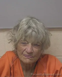 Mugshot of Susan Kathleen Kania booked in Marathon County, Wisconsin on August 21, 2026