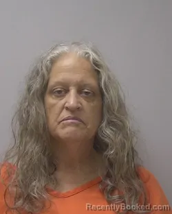 Mugshot of SHEILA DAWN MCGINNIS