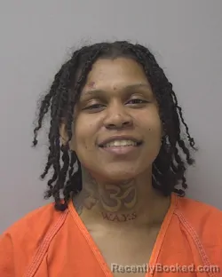 Mugshot of TAMARA NICOLE HOLLINS booked in Marathon County, Wisconsin on April 11, 2026