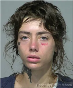 Mugshot of Brianna Coyle