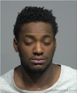 Mugshot of Micheal Robertson
