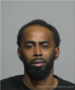 Mugshot of Everton Stirgus