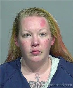Mugshot of Ashley Leprowski