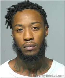 Mugshot of Brandon Reel