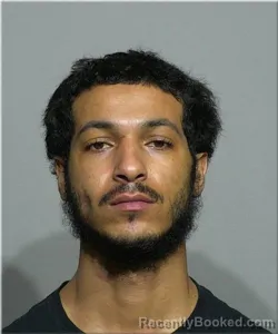 Mugshot of Don Johnson