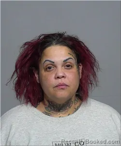 Mugshot of Nilda Osorio