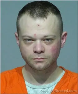 Mugshot of Nicholas Girga