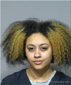 Mugshot of Seantel Spikes