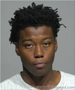 Mugshot of Damarion Sample