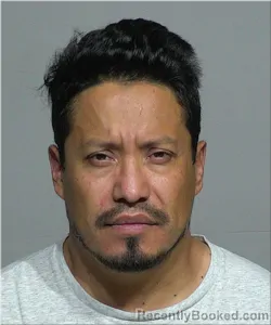 Mugshot of Wilmer Dominguez-Velazquez