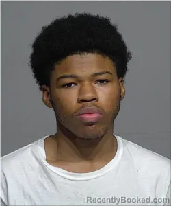 Mugshot of Lamari Boyce