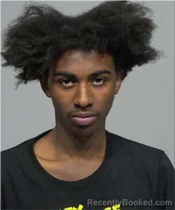 Mugshot of Markeal Young