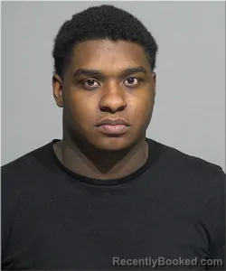 Mugshot of Zacharie Williams