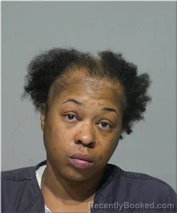 Mugshot of Jessica Ray