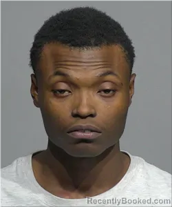 Mugshot of Iendae Jackson