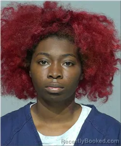 Mugshot of Aaliyah Frison